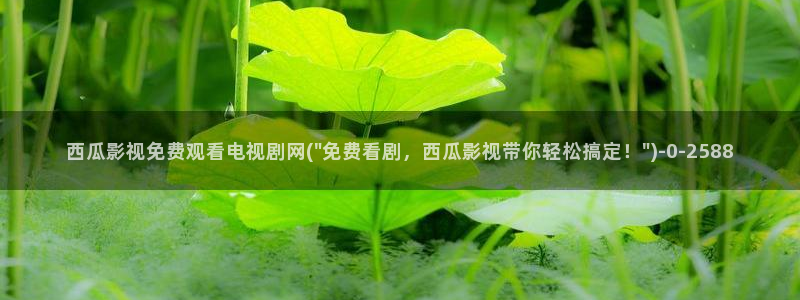 好想和你在一起西瓜电影全集免费