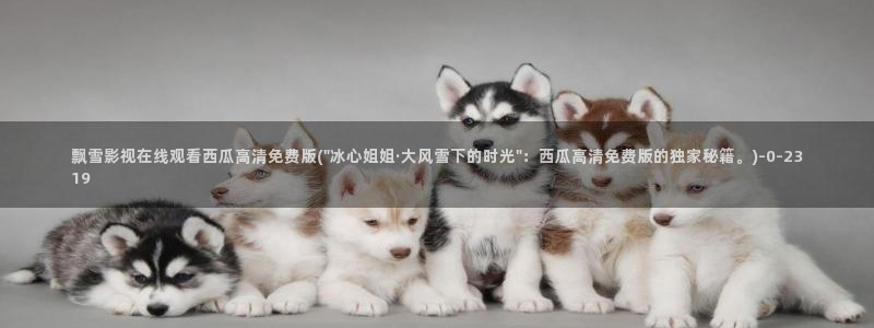 空即是色西瓜影院