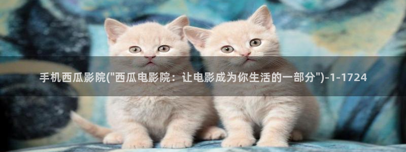 西瓜视频免费高清电视剧