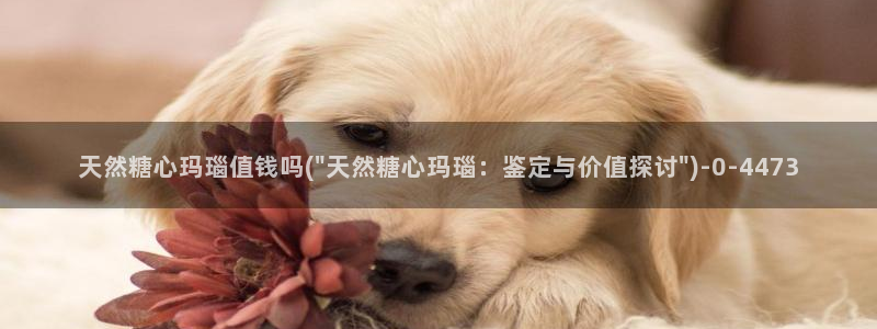 溏心蛋vlog