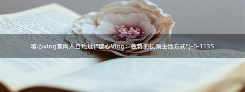 糖心vlog