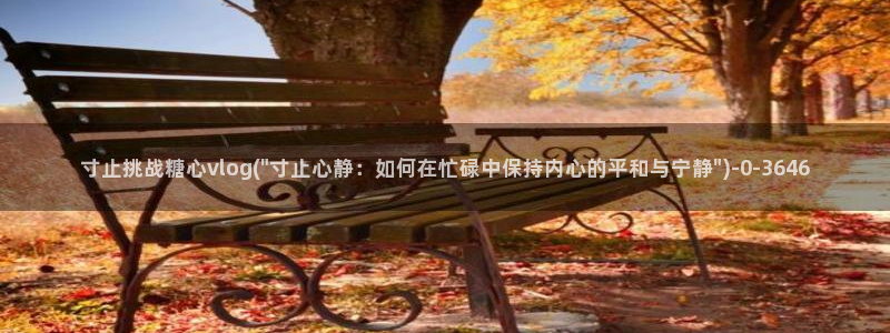 糖心vlog完整版在线观看