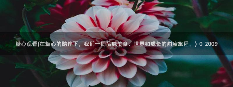 糖心vlog在线观看免费高清完整版