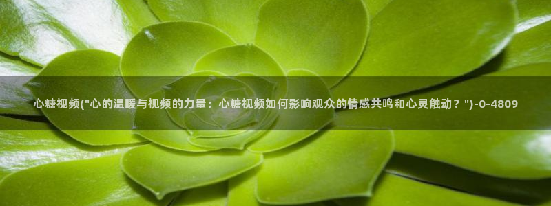 糖心vlog作品