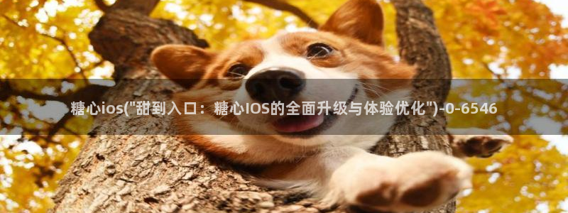 糖心vlog进入