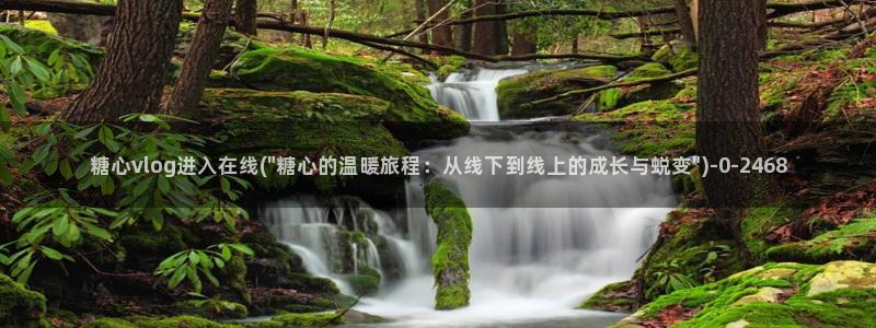 糖心vlog视频免费观看