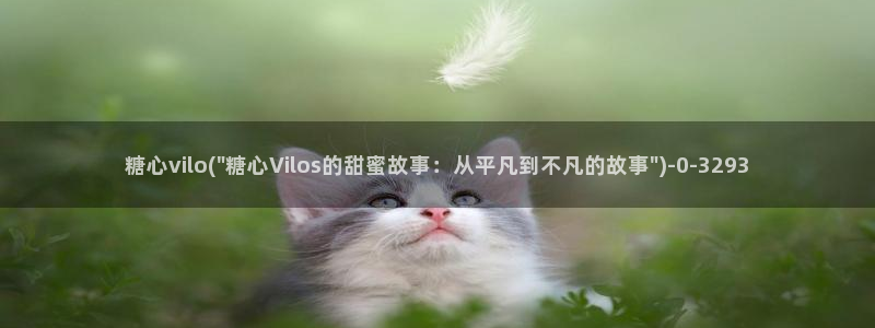在线糖心vlog