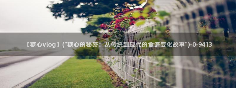 糖心出品vlog传媒