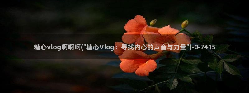糖心vlog免费下载