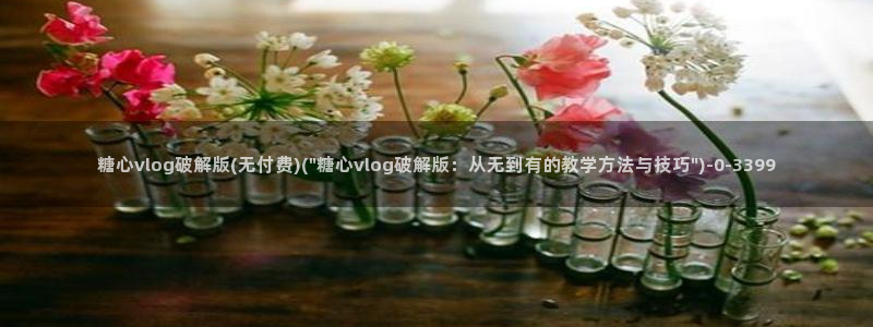 糖心vlog免费破解版下载