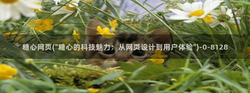 溏心蛋vlog