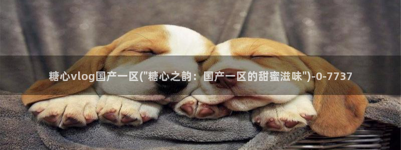 糖心vlog怎么免费看