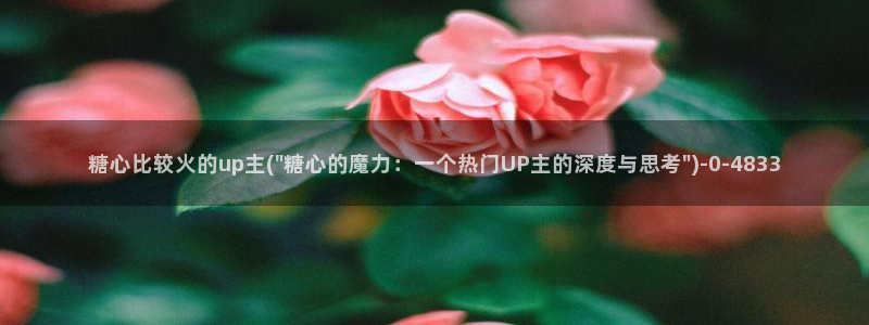 心糖vlog破解版入口
