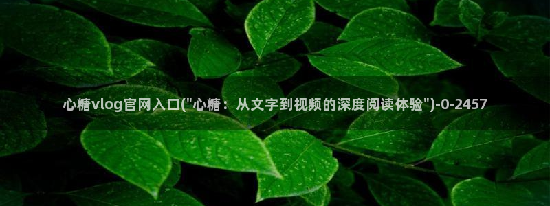 糖心的vlog日常