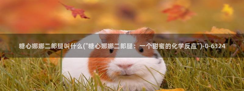 糖心vlog破解版免登录