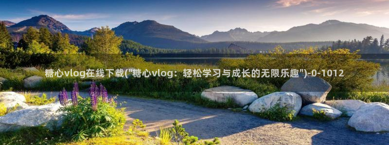 糖心vlog进入
