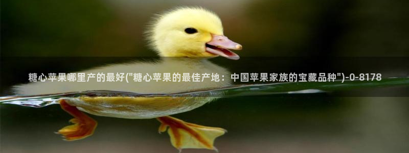 糖心国产传媒vlog