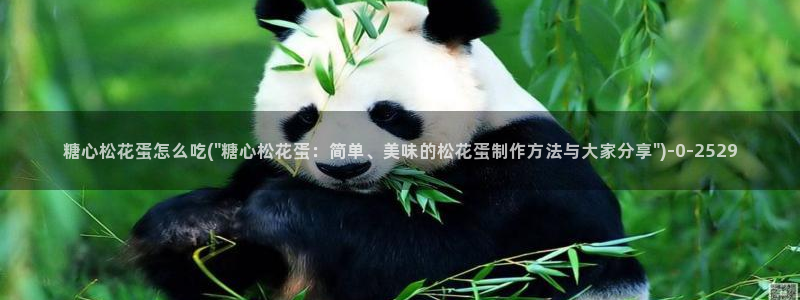 糖心vlog网站入口