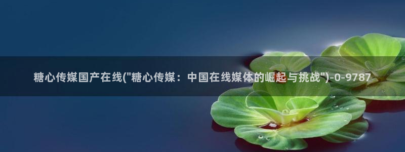 糖心vlog视频在线看