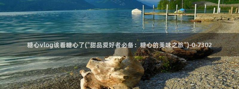 糖心vlog记录